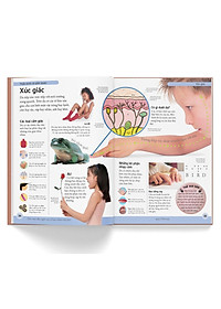 product-img-4