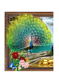 product-img-3