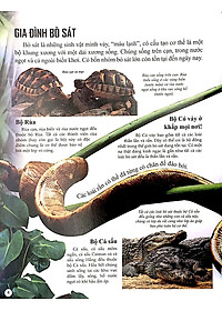 Sách Bách Khoa Tri Thức Về Khám Phá Thế Giới Cho Trẻ Em - Reptiles - Bò Sát