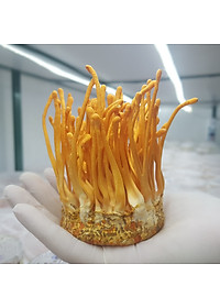 product-img-3