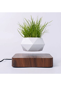 product-img-10