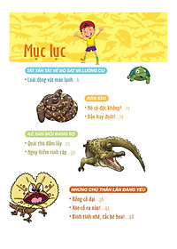 product-img-6