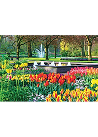 Tranh xếp Hình Tia Sáng Vườn Xuân ( 925 mảnh ghép)