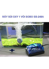 product-img-1