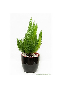 product-img-5