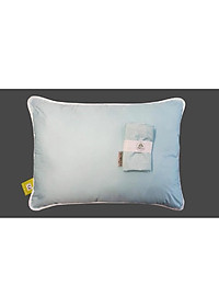 Ruột gối cao cấp 45x65 everon 5S