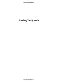 Birds Of California