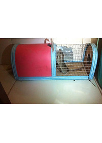 product-img-7