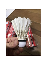 Hộp cầu lông Hải Âu_chính hãng loại hộp 6 quả và loại 12 quả