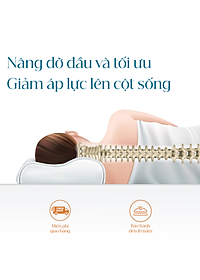 Gối Cao Su Vạn Thành Oval VTGCSO4056 (40 x 64 cm) - Trắng