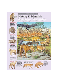 Sách Thử tài tìm kiếm – Thành phố