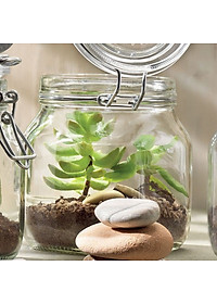 Hũ thủy tinh nắp cài Bormioli Rocco Fido 750ml – Kín hơi, bảo quản thực phẩm cao cấp Ý