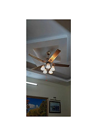 product-img-5