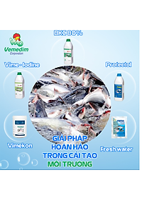 Vemedim Anti-fungi cá đặc trị nấm thủy mi, nhiễm khuẩn mang, nấm trong môi trường ao nuôi, chai 100ml