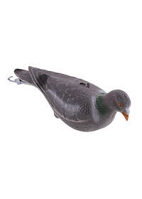 product-img-4