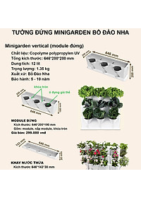 product-img-13