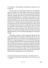 product-img-10