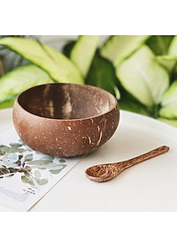 Bát Gáo Dừa Và Thìa Gỗ Tự Nhiên VIETTIN MART