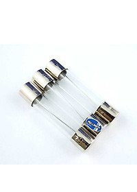 Hộp 25 Cầu chì ống thủy tinh 5x20mm - 5A Milliken