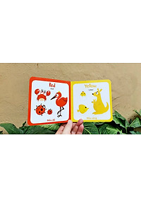 Từ điển hình ảnh đầu tiên cho bé khám phá thế giới (10 cuốn) - My first picture book 