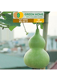 Hạt Giống Bầu Hồ Lô Greenhome, Gói 1g, Dễ Trồng Quanh Năm, Nảy Mầm Cao, Thu Hoạch Nhanh, Năng Suất Cao T11