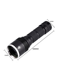 Đèn pin sạc cầm tay tia cực tím (UV) cao cấp Terino D113-UV (365nm, 20W)- Hàng chính hãng