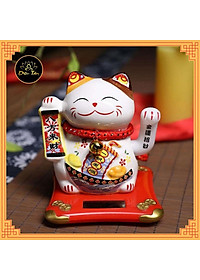 product-img-6