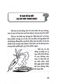 product-img-8