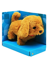 product-img-6