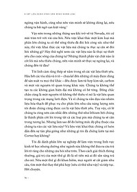 product-img-13