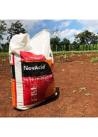 Phân bón hòa tan Israel Novacid 12-40-36+3CaO+Te, Hoà tan 100% sử dụng cho hệ thống tưới nhỏ giọt và tưới phun. Hạn chế rụng trái non, thúc hoa ra màu đẹp và tăng sức đề kháng cho cây trồng