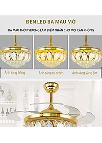 product-img-2