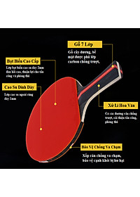 Bộ 2 Vợt Bóng Bàn Phủ Carbon Cao Cấp Kèm 3 Quả Bóng Bàn – Combo 2 Vợt Bóng Bàn Tặng 3 Quả Bóng Cao Cấp Chính Hãng dododios