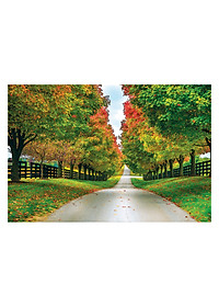 Tranh xếp Hình Tia Sáng  Chớm Thu Tia Sáng (925 Mảnh Ghép)