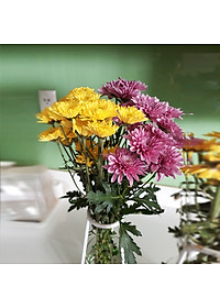 product-img-14
