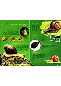 Sách Động Vật Kỳ Quặc