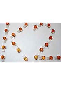 Rệp Nối Cáp Mạng, Rệp Nối Cáp Thoại bộ 200 cái Rệp K2