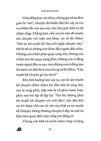 product-img-6