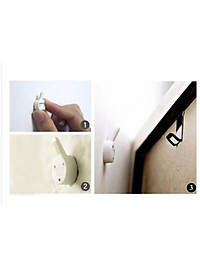 Bộ 06 tranh treo tường Ốc biển Seashell trang trí phòng khách, phòng ngủ - Tặng kèm đinh ba chân chuyên dụng treo tranh