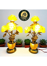 product-img-8
