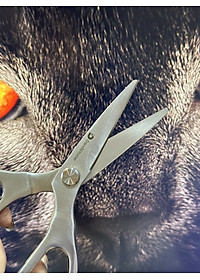 Kéo đa năng DandiHome thép cao cấp giữ độ bén tốt