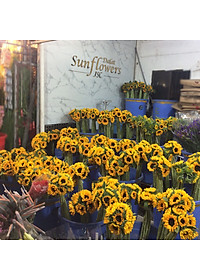 Dung Dịch Xử Lý Hoa TOG Galileo của ISRAEL (Chai 1 Lít) dùng bảo quản hoa cắt cành tươi lâu tại Nhà Vườn Trồng Hoa, Vựa Hoa và Chợ Sỉ Hoa. Tỷ lệ dung dịch 0.1% tức chai 1 Lít TOG pha được 1.000 Lít dung dịch xử lý hoa