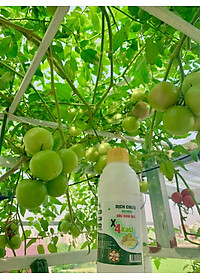 Combo Phân Đậu Nành Soymic V - Dịch Chuối Cho Rau Sạch