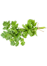 Bộ 2 Gói Hạt Giống Ngò Hạt Lớn Pháp Phú Nông PNHG1417 (20g / Gói)