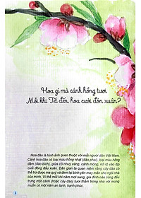 Sách Câu Đố Dân Gian Bằng Tranh - Hoa Quả (Tái Bản 2019)