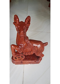 product-img-4