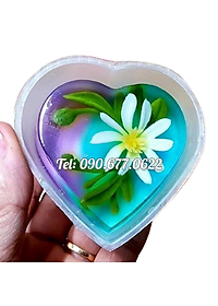 product-img-7