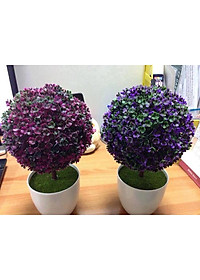 product-img-12