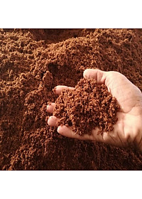 Xơ Dừa- Mùn Dừa Trồng Cây Đã Sử Lí