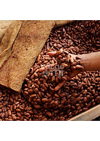 Bột ca cao nguyên chất vị truyền thống Cacao Mi loại Original đặc sản Việt Nam làm quà biếu tặng chuẩn xuất khẩu 127g